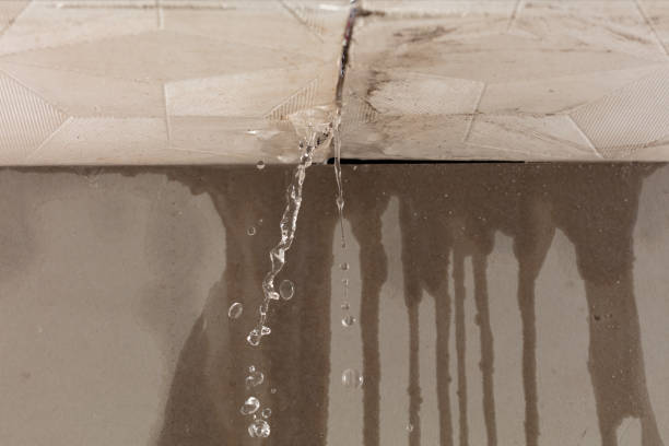 Professional Burst Pipe Cleanup technician working in Seymour, TN